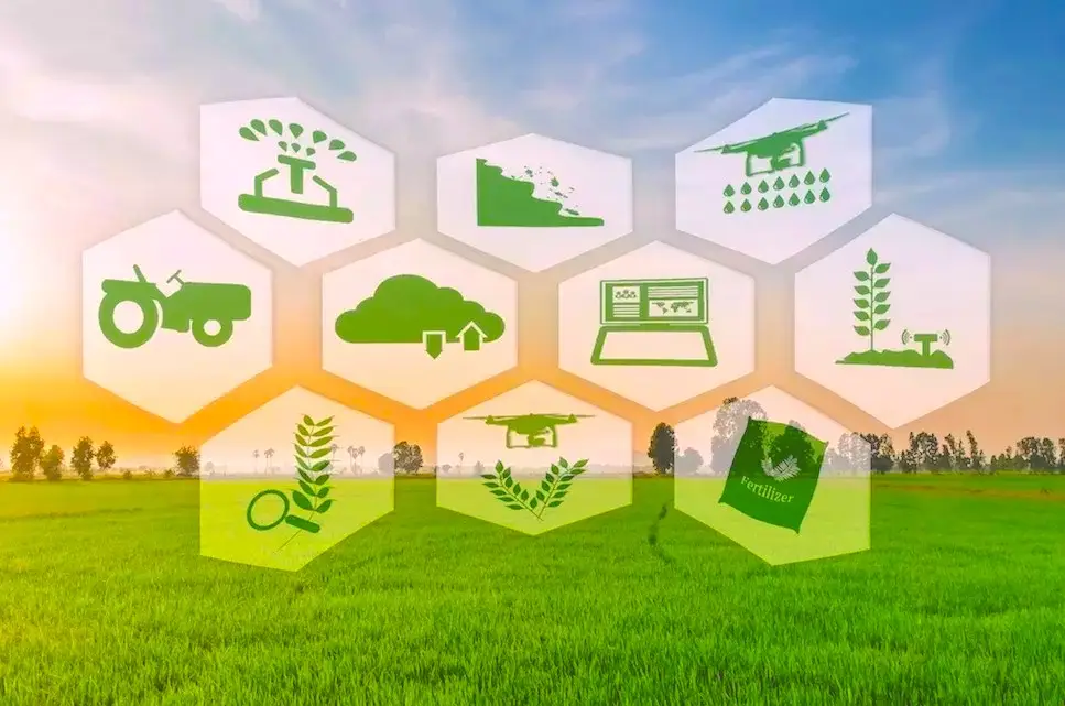 La scuola della Terra