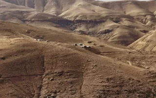 Margherita Moscardini