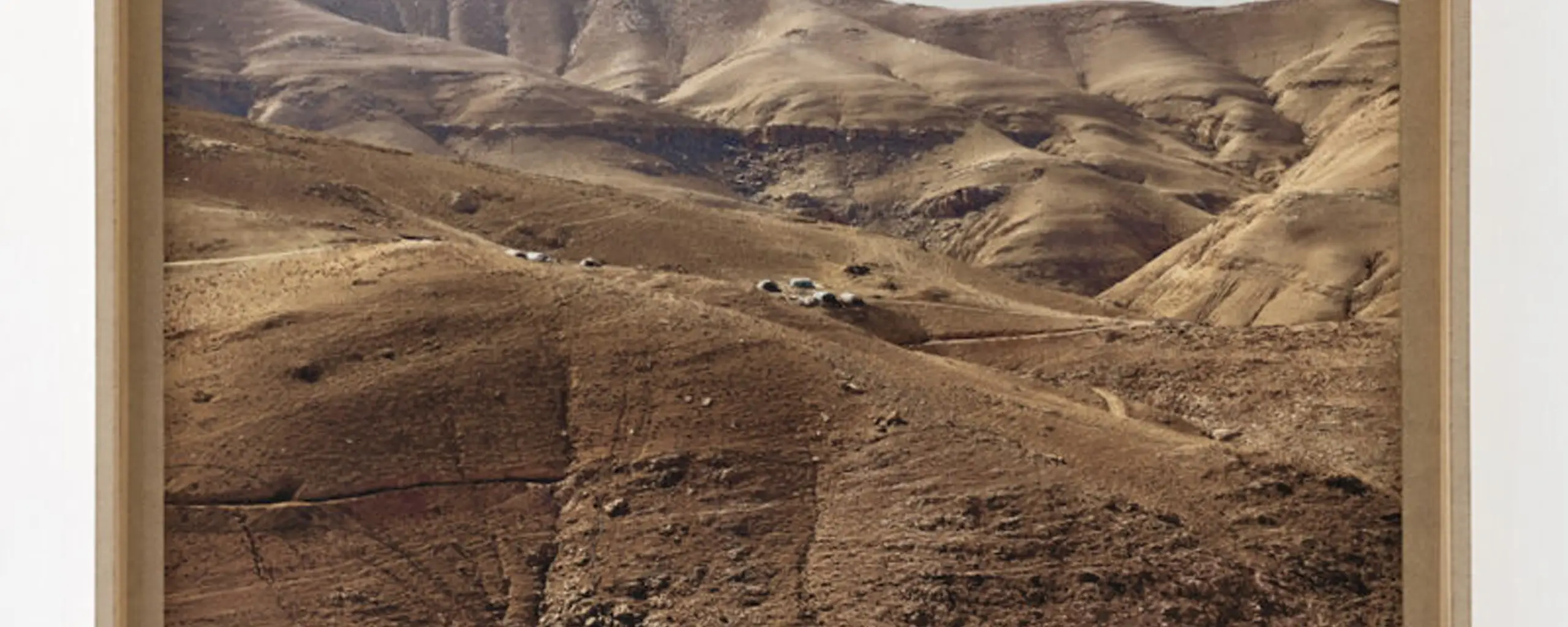 Margherita Moscardini