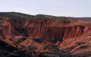 Massimiliano Corteselli