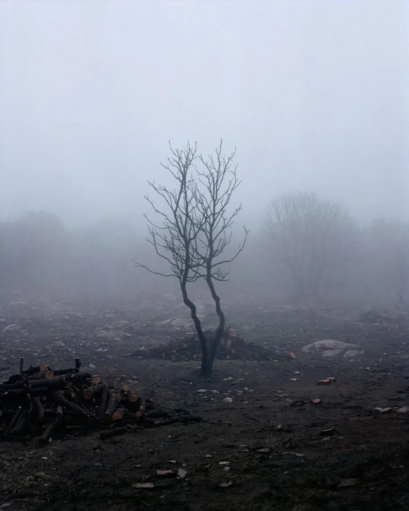 Massimiliano Corteselli foto