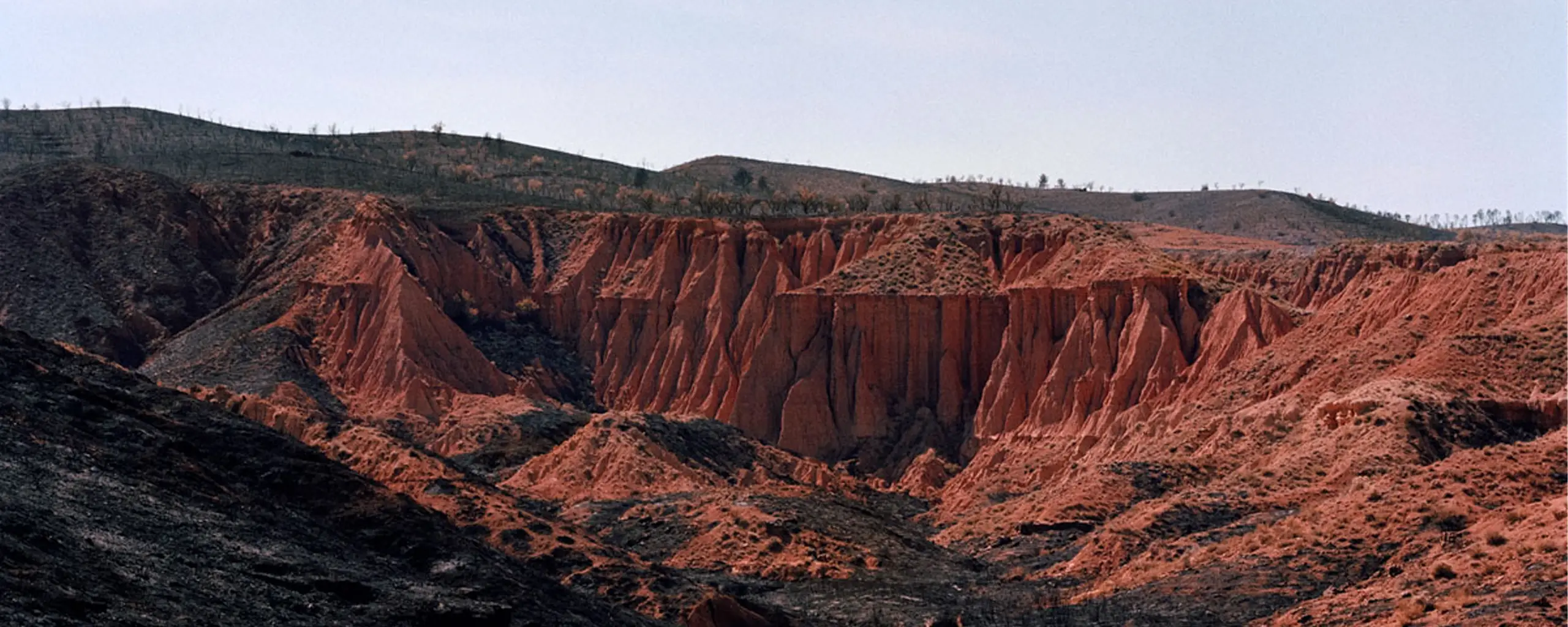Massimiliano Corteselli