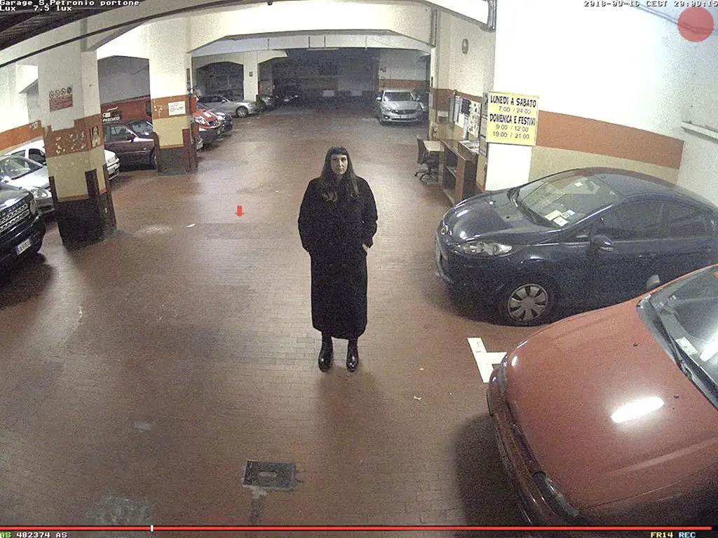 Self Portrait from Surveillance Camera