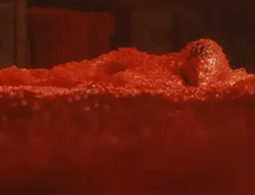 Sissi, quando il corpo diventa arte