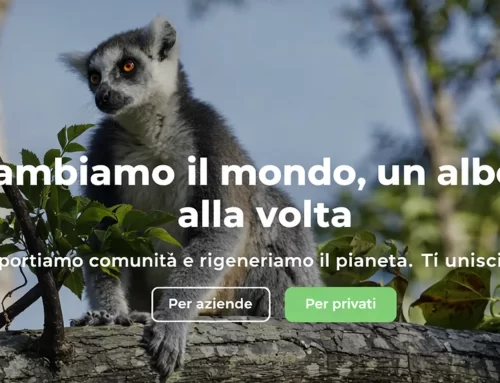 Treedom: piantare alberi per sostenere agricoltori e comunità locali