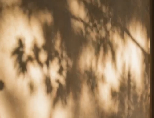 Aranciera di Villa Borghese e inaugurazione della mostra artistica